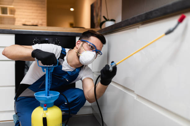 Best Flea Control Services  in Chester, WV