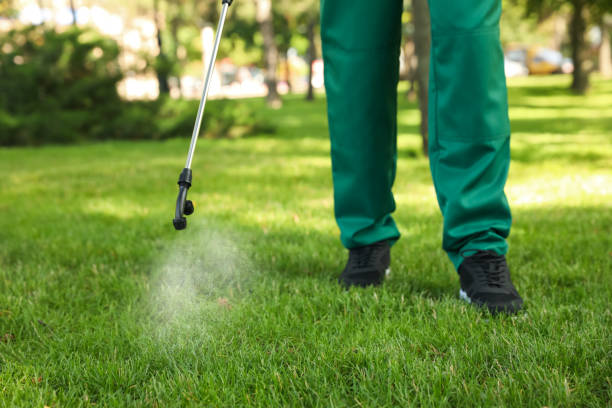 Best Pest Control Near Me  in Chester, WV