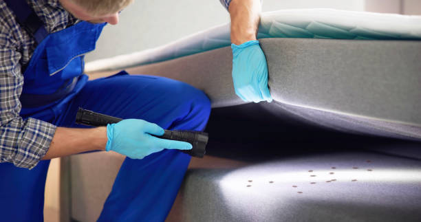 Best Bed Bug Extermination  in Chester, WV